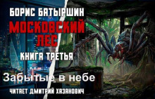 Забытые в небе