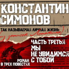 Мы не увидимся с тобой…