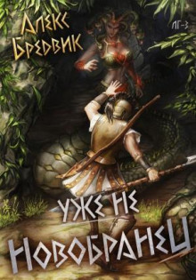 RPG: Уже не новобранец. Том 3