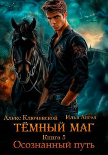Тёмный маг. Книга 5. Осознанный путь