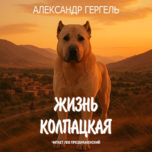 Жизнь колпацкая