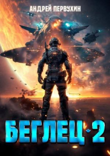 Беглец. Книга вторая
