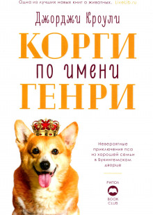 Корги по имени Генри