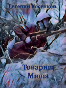 Товарищ Миша