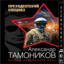 Ангелы сирийского неба