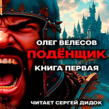 Подёнщик. Форт-Хоэн. Книга 1