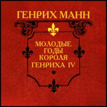 Молодые годы короля Генриха IV