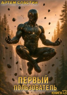 Первый пользователь. Книга 13