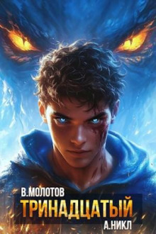 Тринадцатый. Том XII