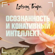 Осознанность и конативный интеллект