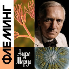 Жизнь Александра Флеминга